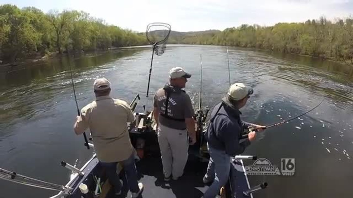 Delaware River Shad Fishing
