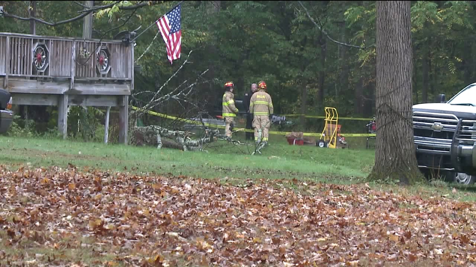 Man Killed by Falling Tree in Luzerne County