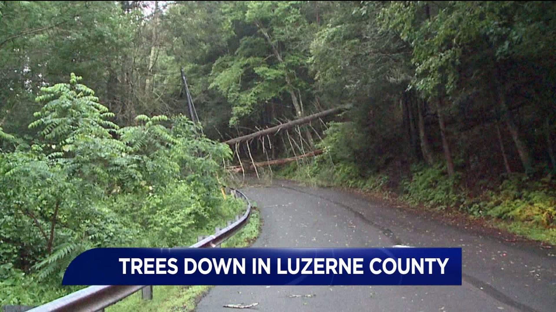 Trees Down After Storm in Luzerne County
