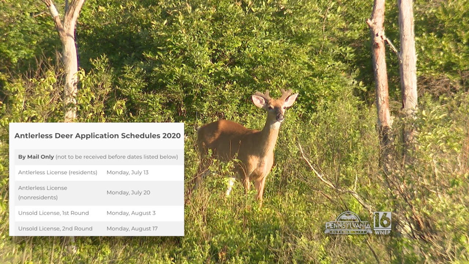 Antlerless Deer License Schedule
