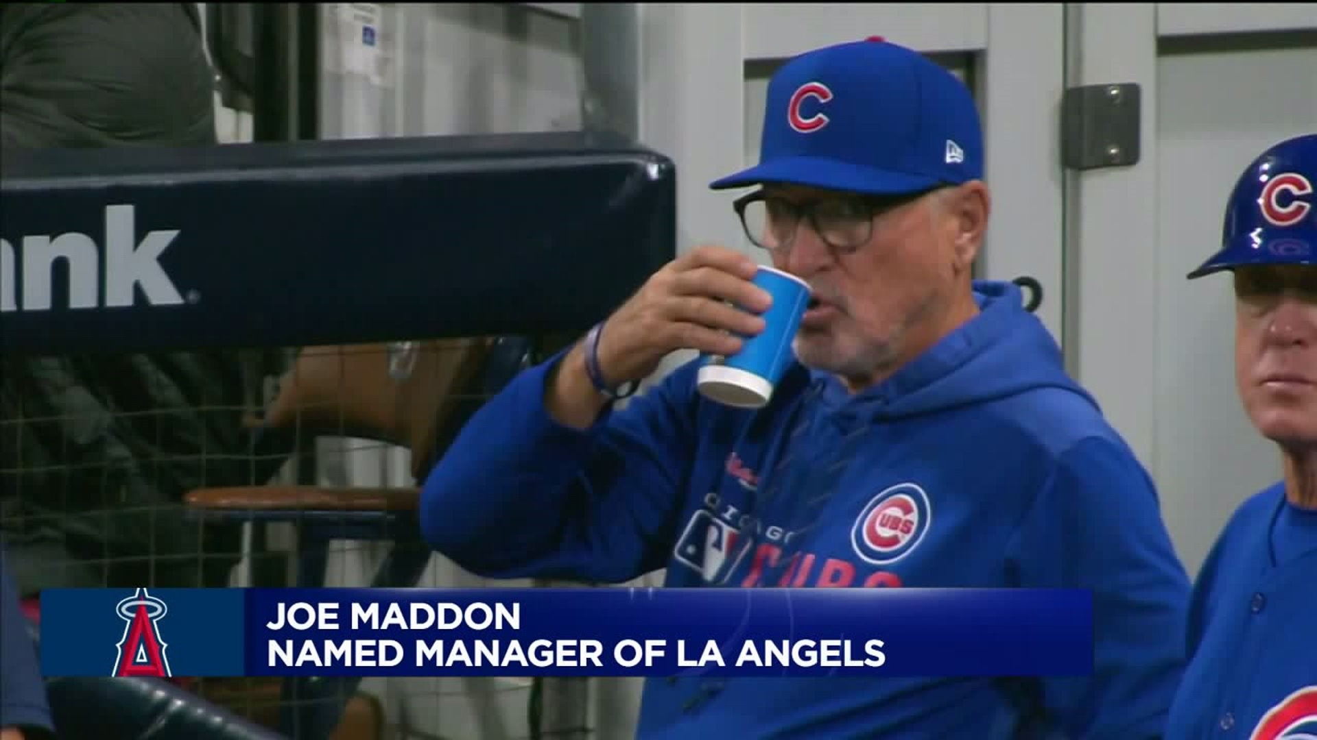 Joe Maddon named manager of the LA Angels