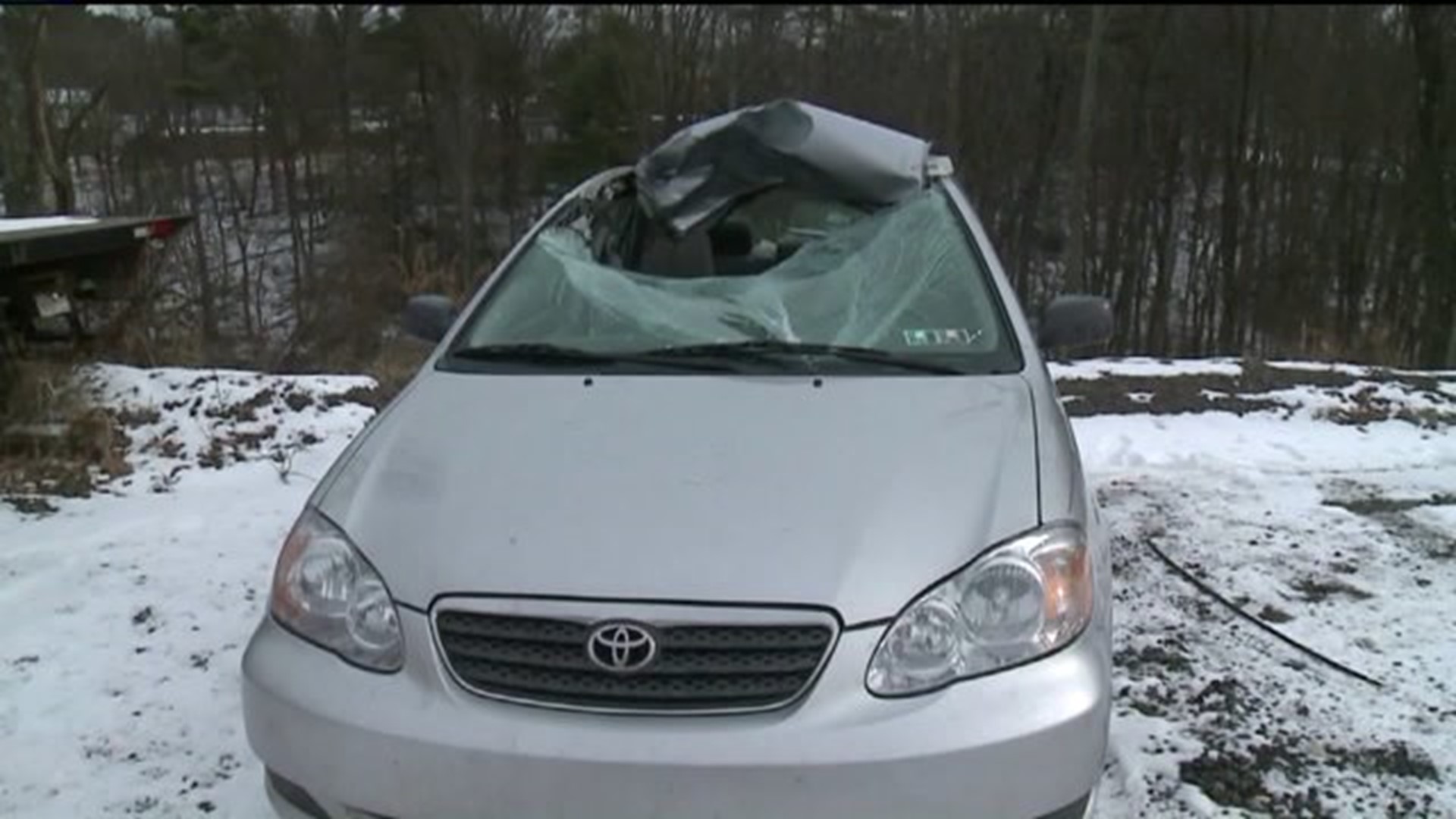 Bizarre Crash Leaves Deer in Back Seat