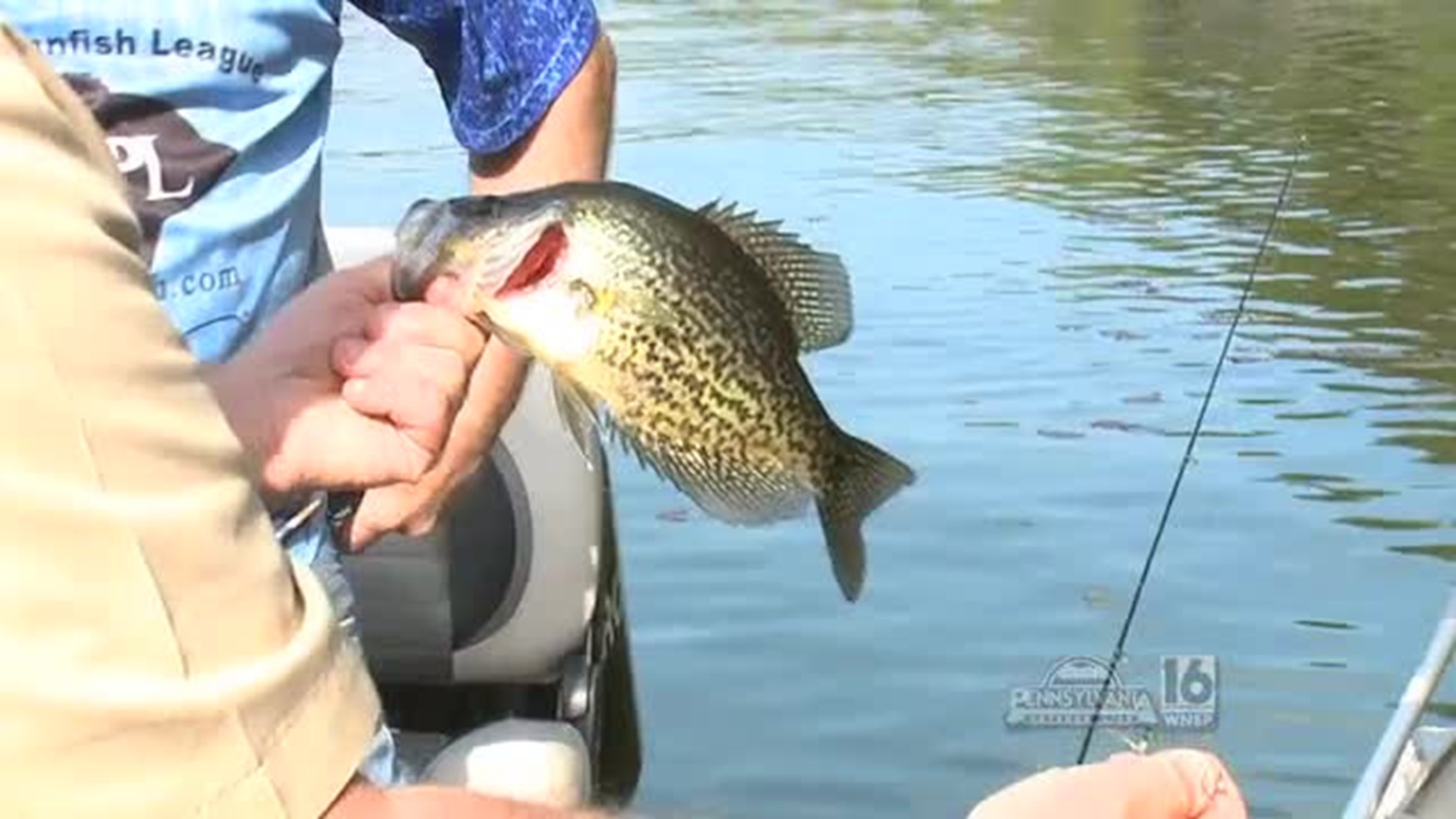 Lily Lake Panfishing