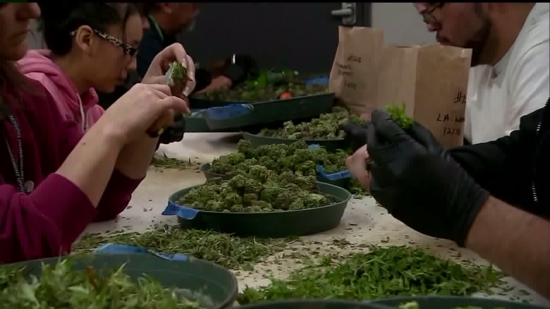 State Lawmakers Unveil Bill to Legalize Recreational Marijuana