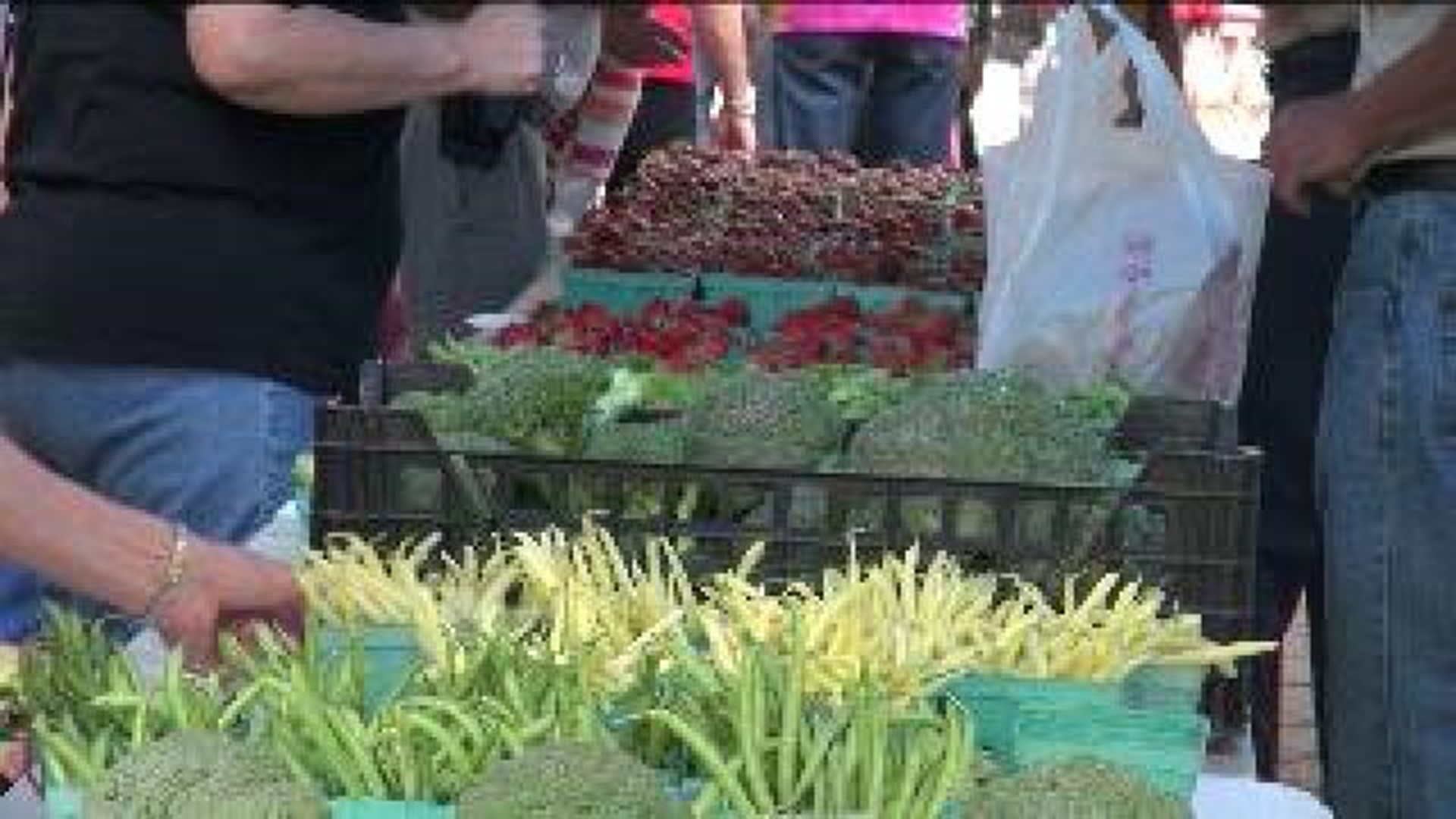 Farmer’s Market Opens in Wilkes-Barre