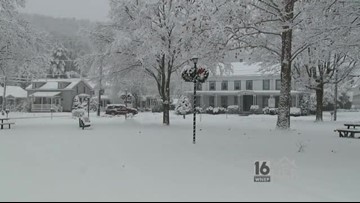 Home Backyard Wnep Com