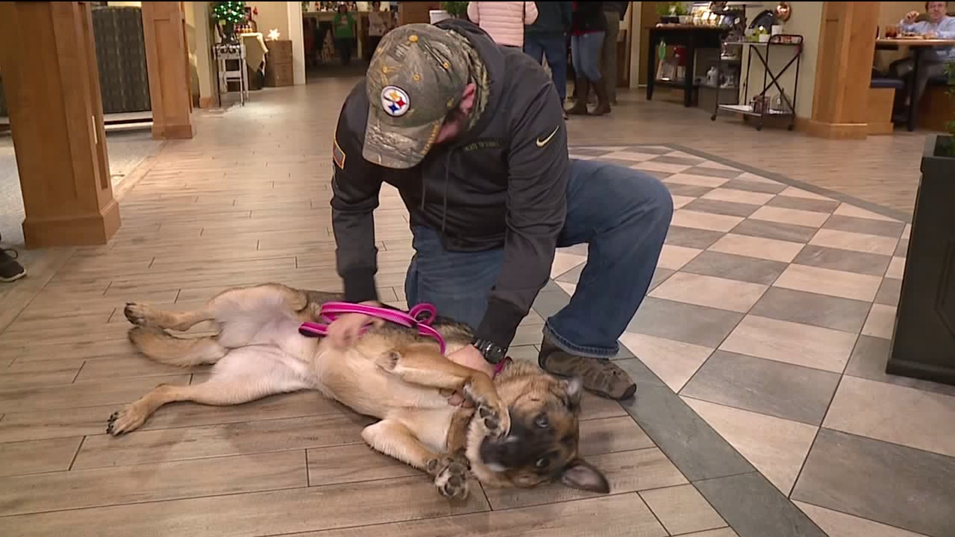 Army Vet Reunited with Military Dog