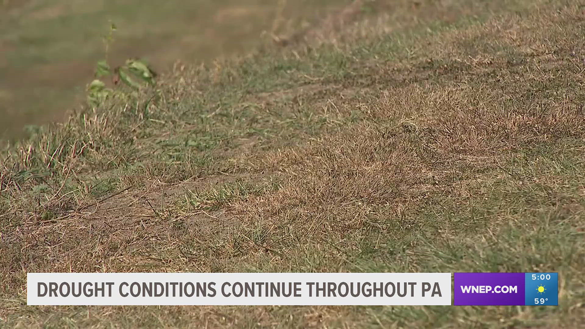 Newswatch 16's Mackenzie Aucker reports on persisting drought conditions throughout Pennsylvania