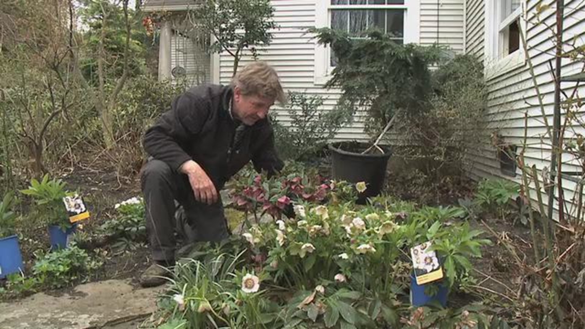 Paul-Pond Cleaning-Spring Planting