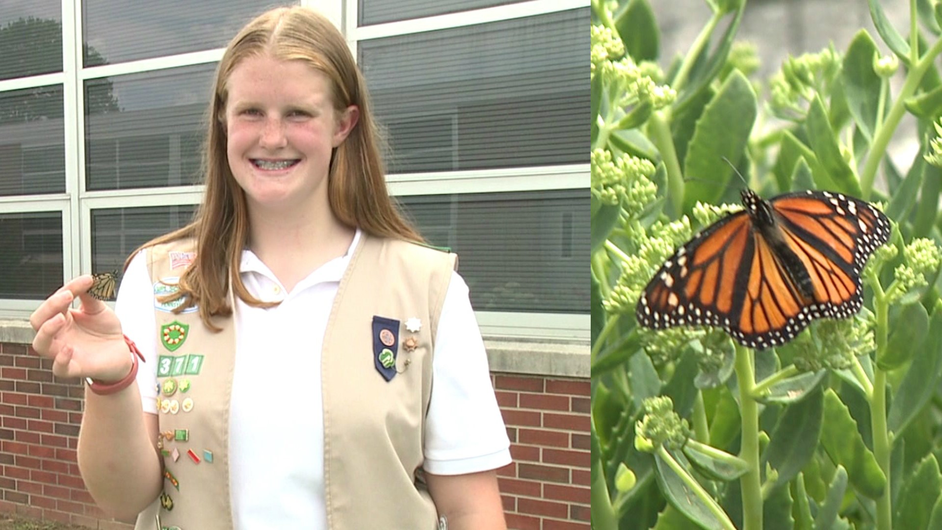 Girl Scout Creates Butterfly Garden for Community