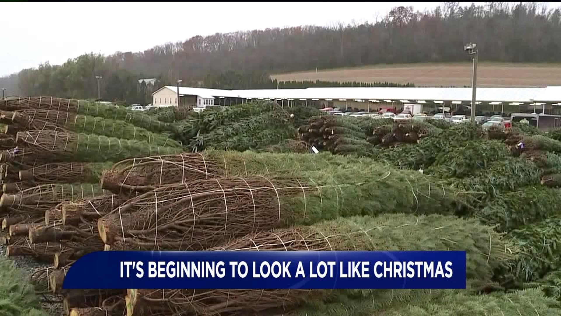 Wreaths, Christmas Trees Ready for Auction in Union County