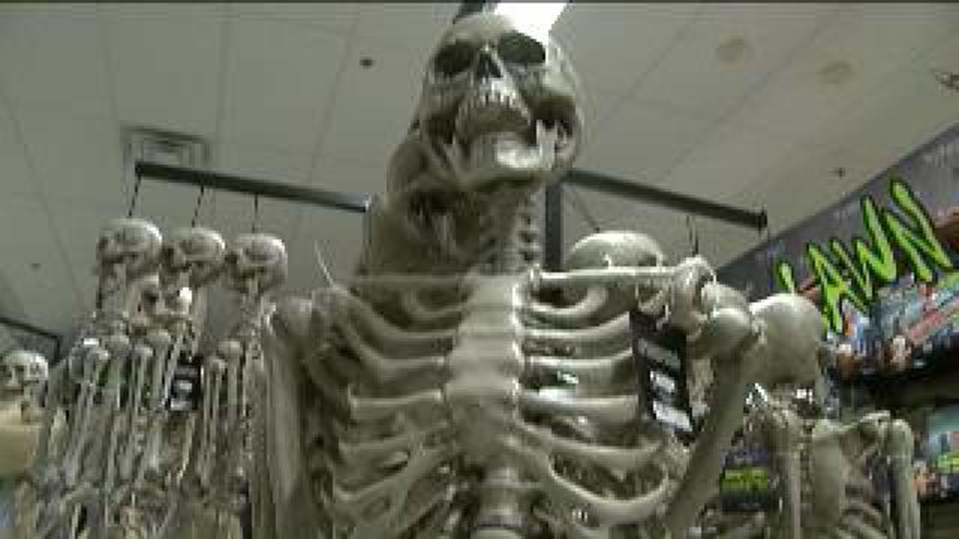Wham Cam: Male, Female Skeleton Differences