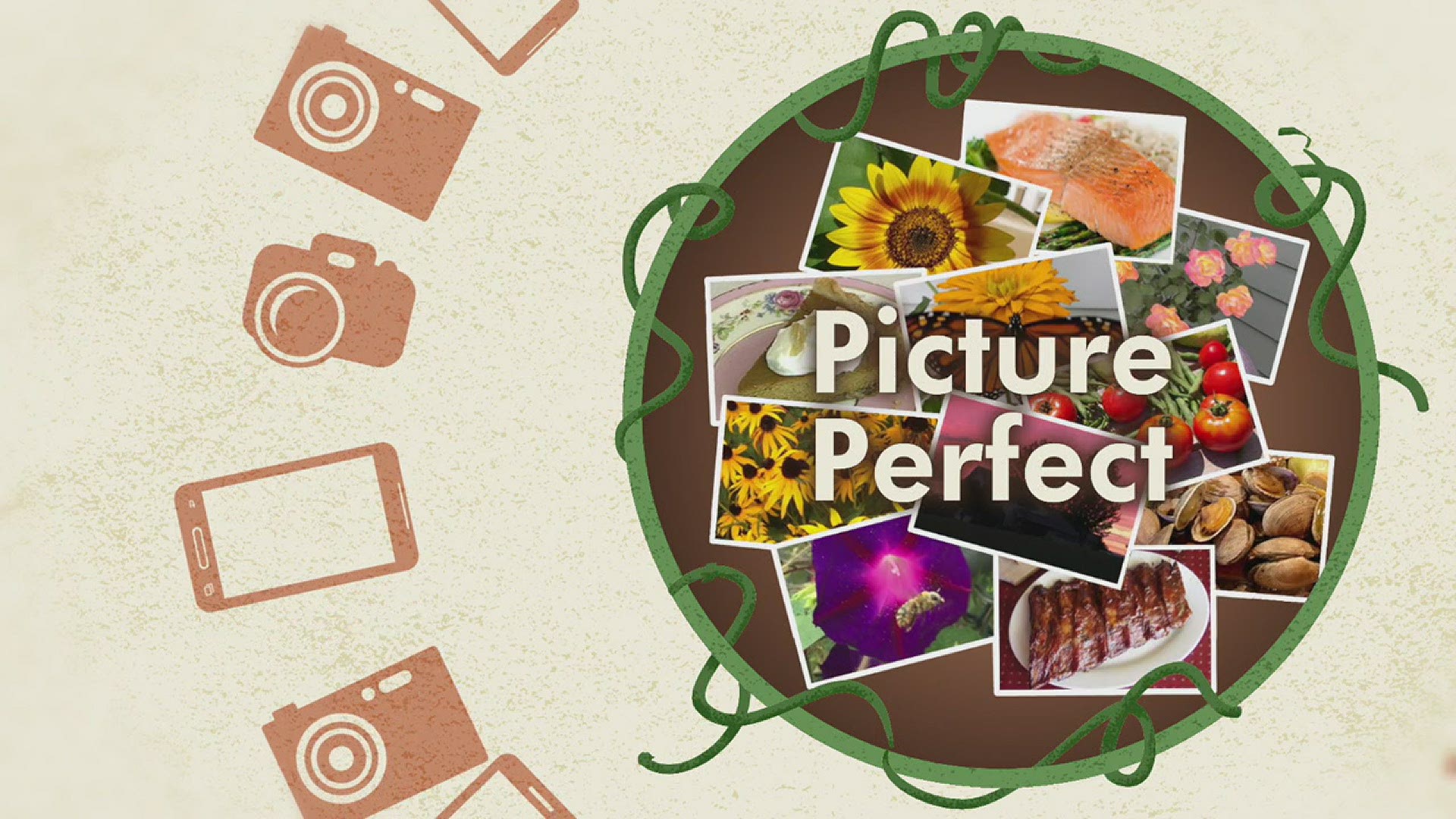 Picture Perfect: 8-22-20