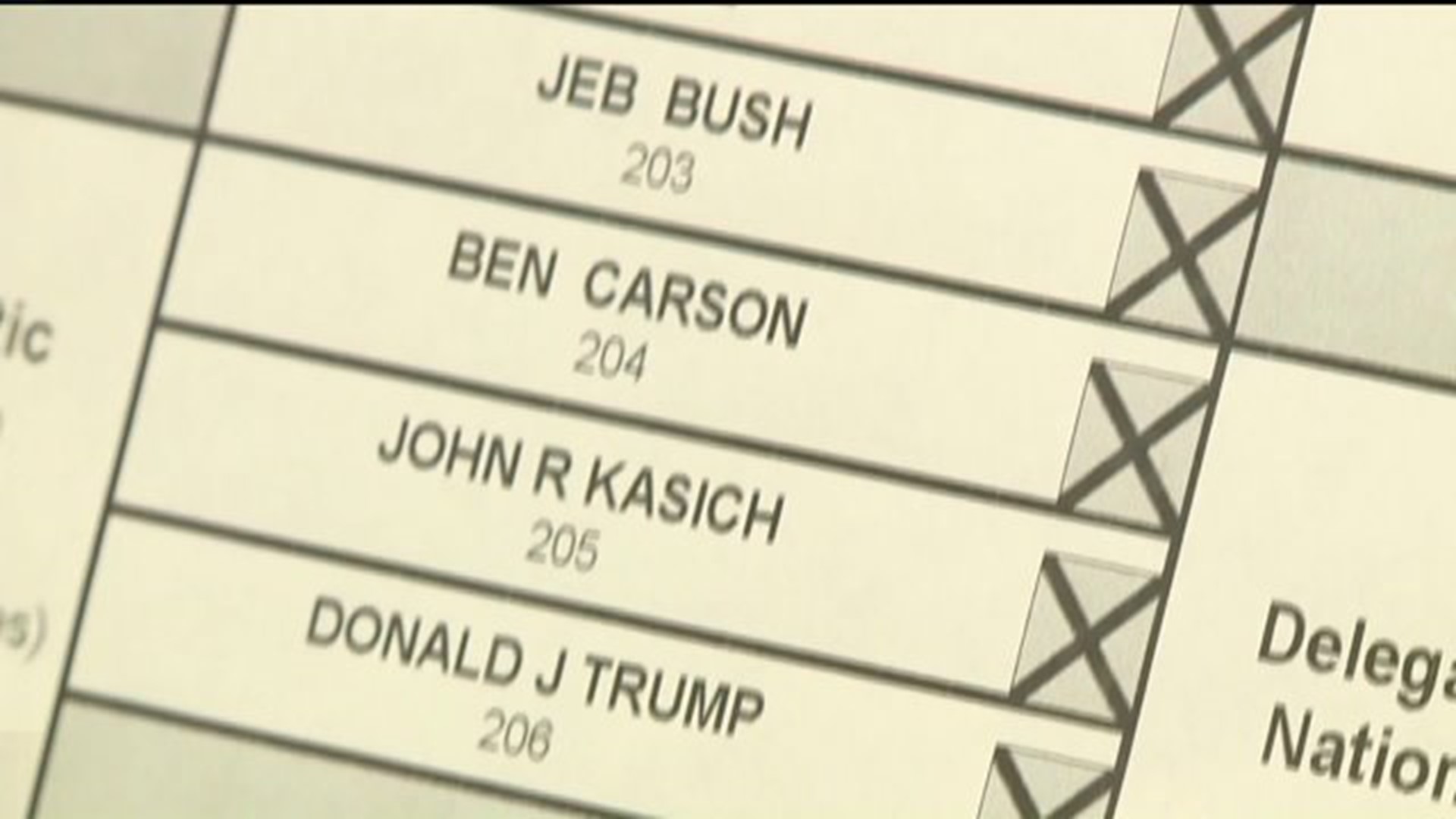 State Primary Ballot Still in Question