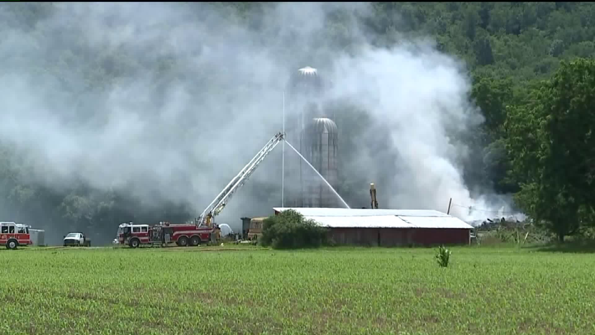 Animals Saved from Barn Fire in Clinton County