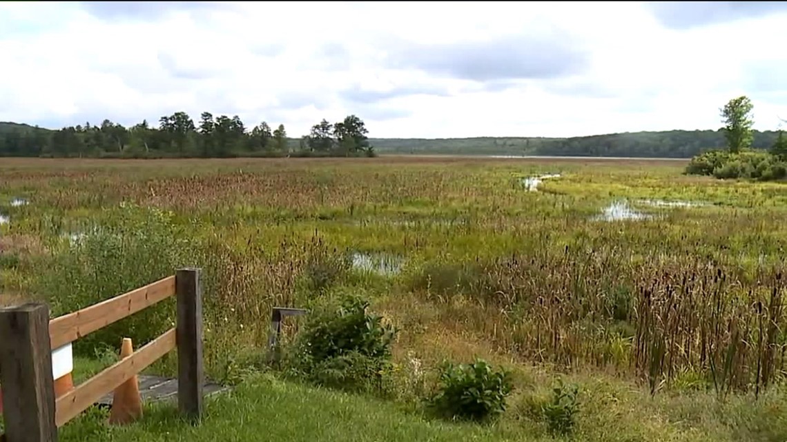 Peck’s Pond Restoration Project to Begin Next Year