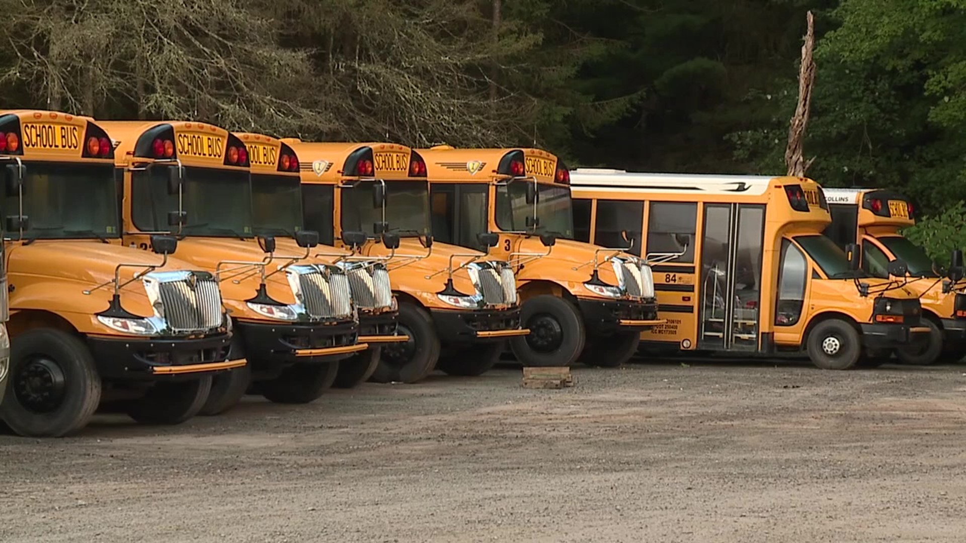 School bus stress: transportation companies are concerned about school ...