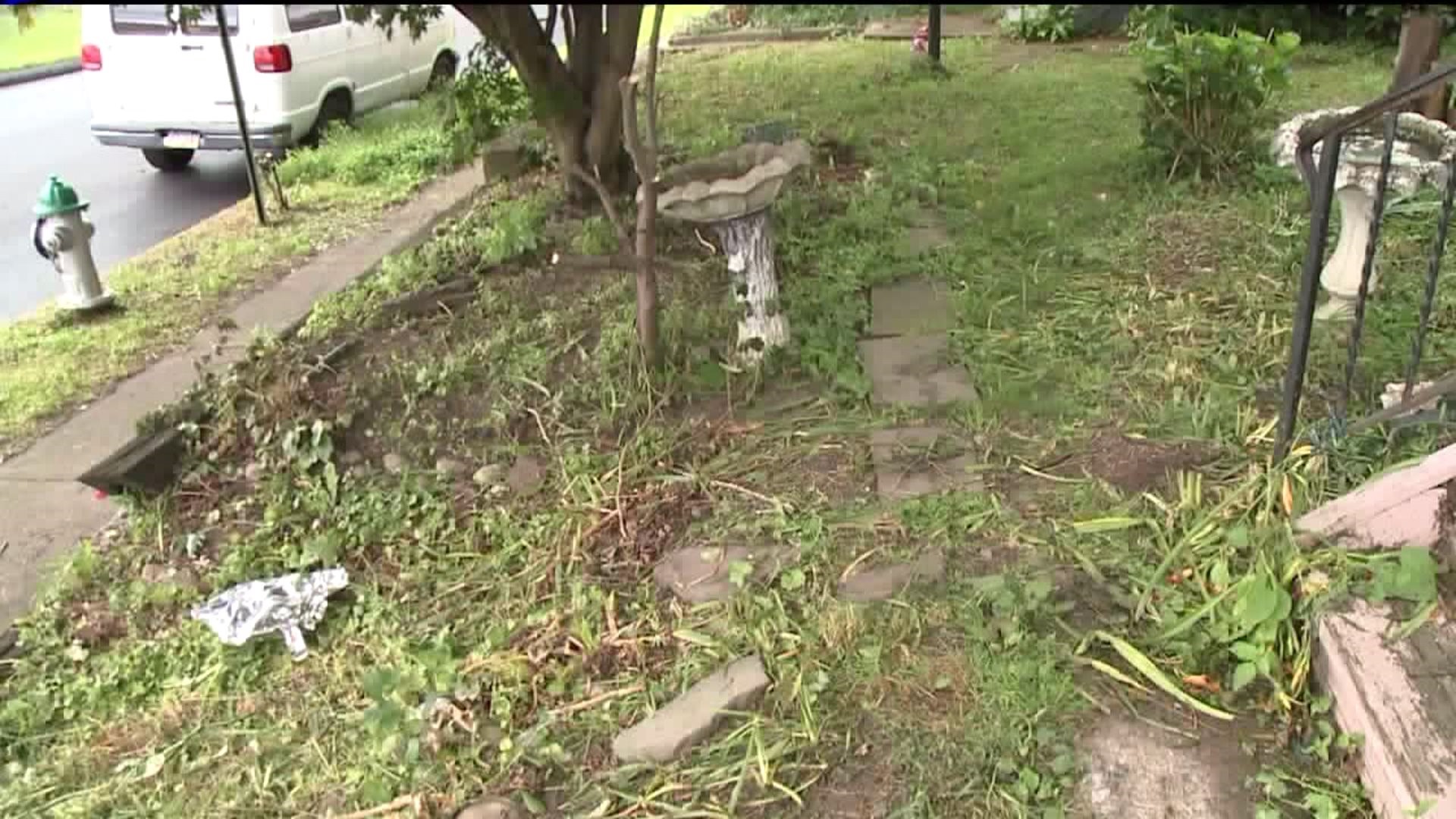 Woman's Garden Mistakenly Destroyed, City Vows to Replant