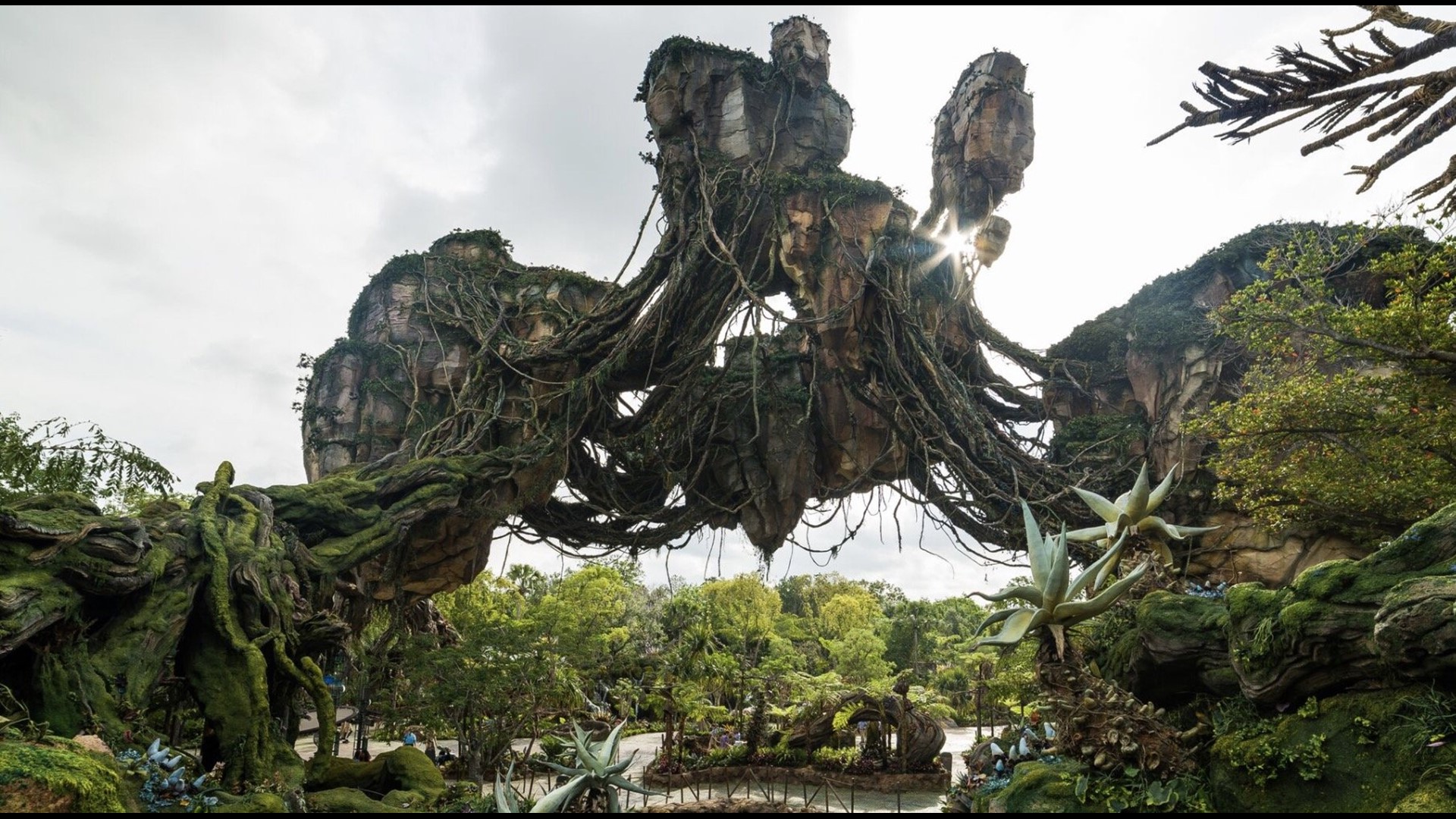 ‘Flight of Passage’ Avatar Ride Is Disney’s Best New Attraction in