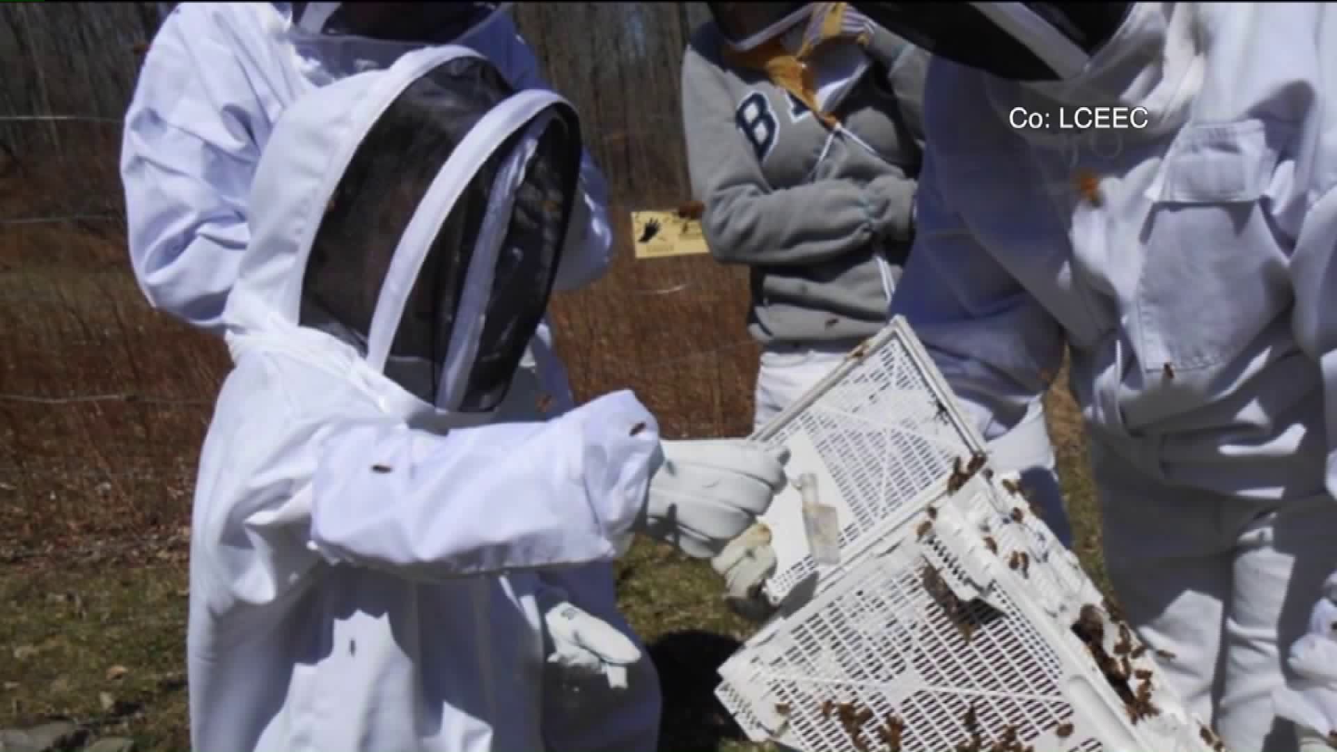 Find out All the Buzz on Beekeeping Classes