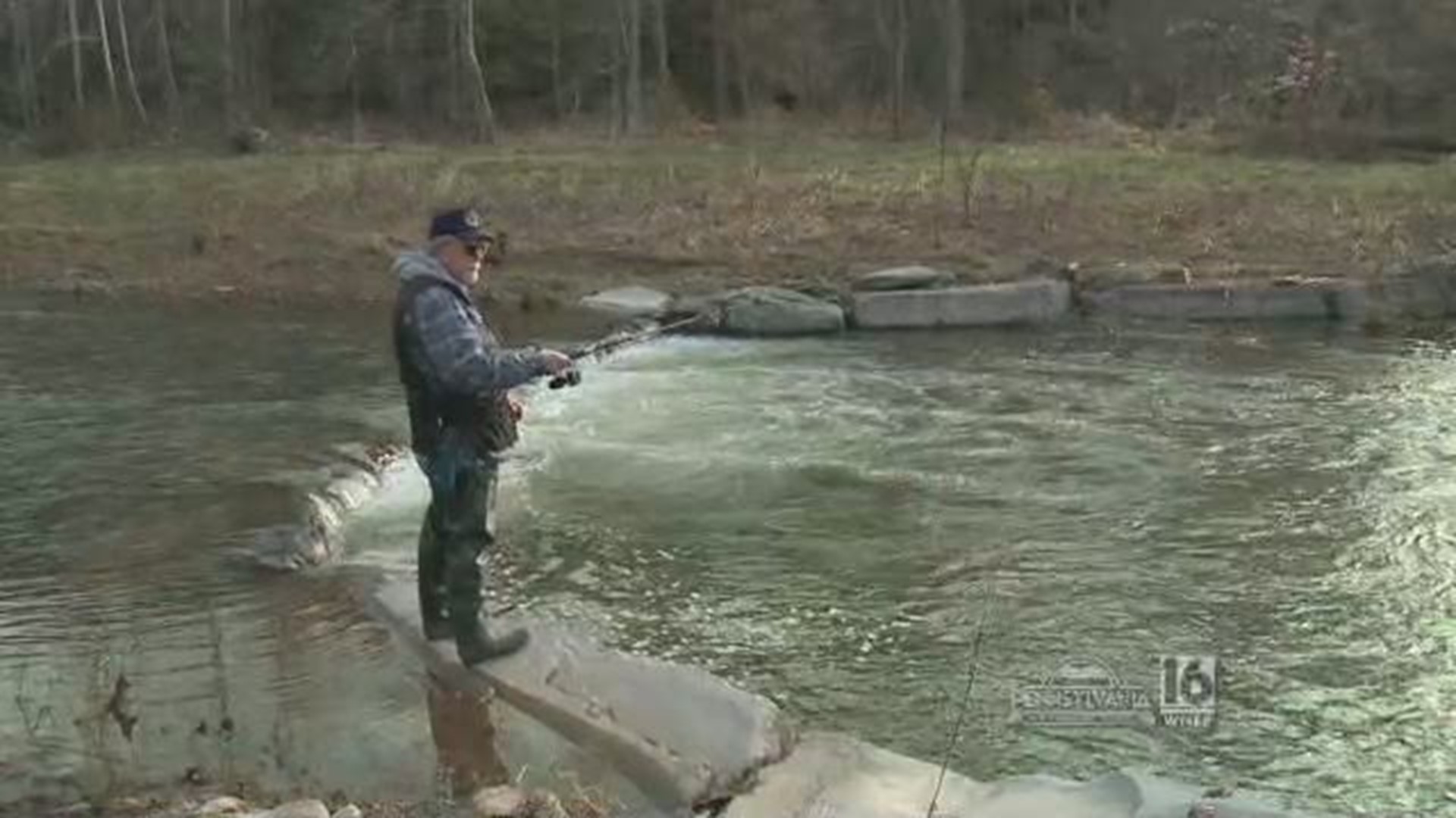 Trout Season Opener on Mehoopany Creek