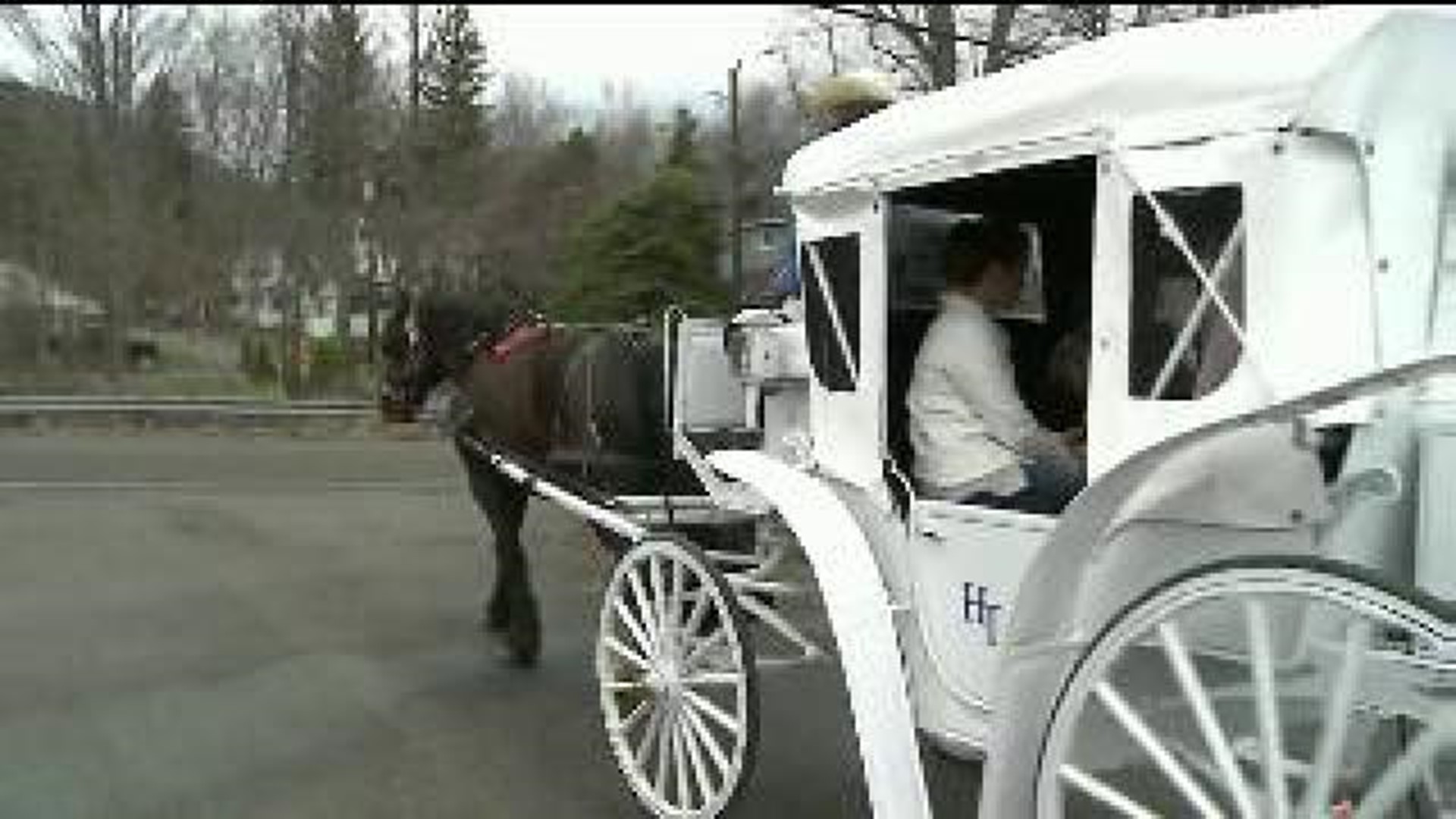 Horse-Drawn Carriage Ban in NYC?