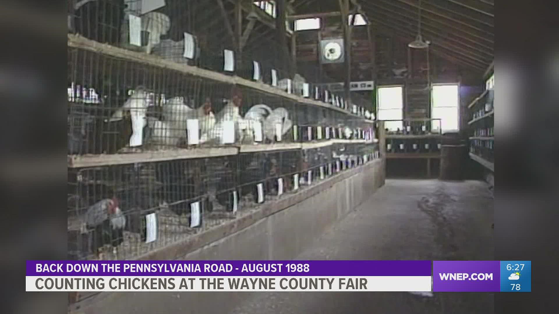 Mike shows us some of the featured fowl at the Wayne County Fair back in 1988.