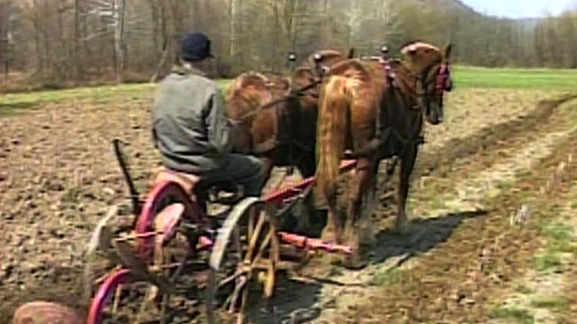 Plowing with a Team of Horses
