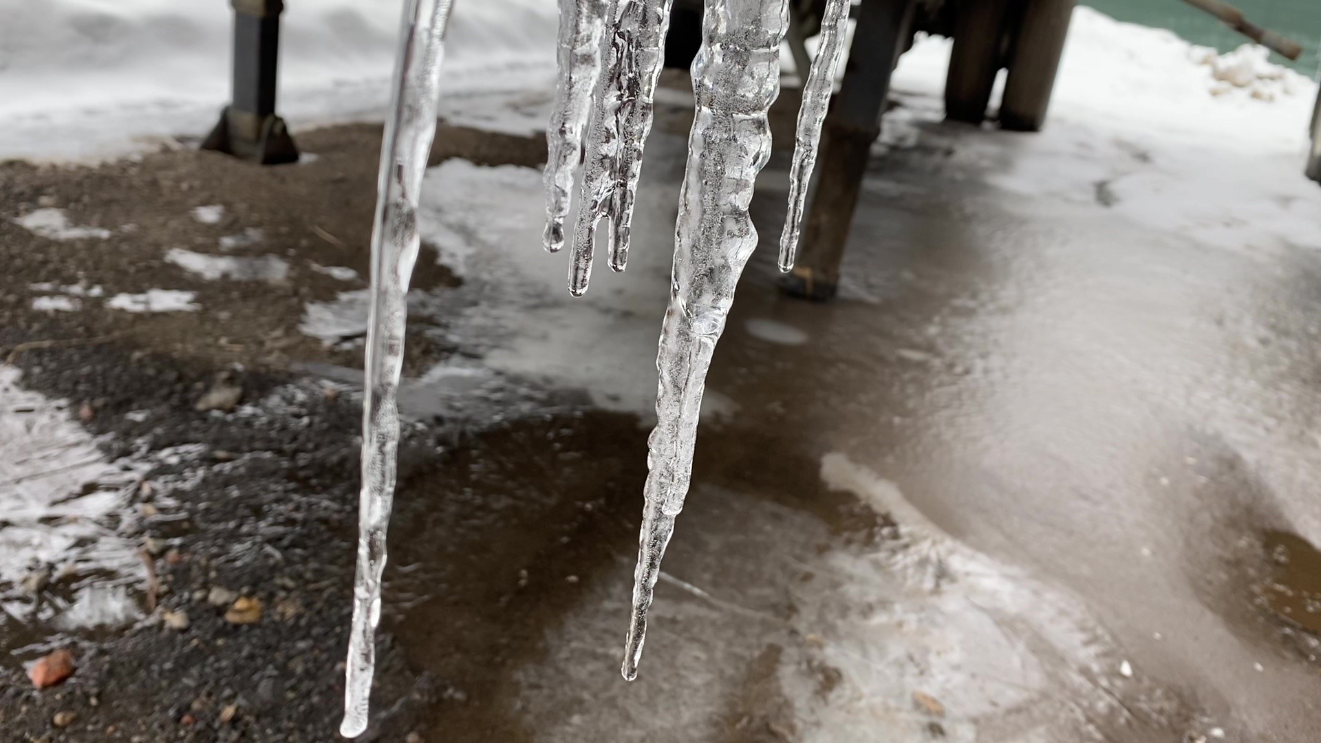 They are the cold creations dangling from our gutters—icicles that shimmer on the coldest days.