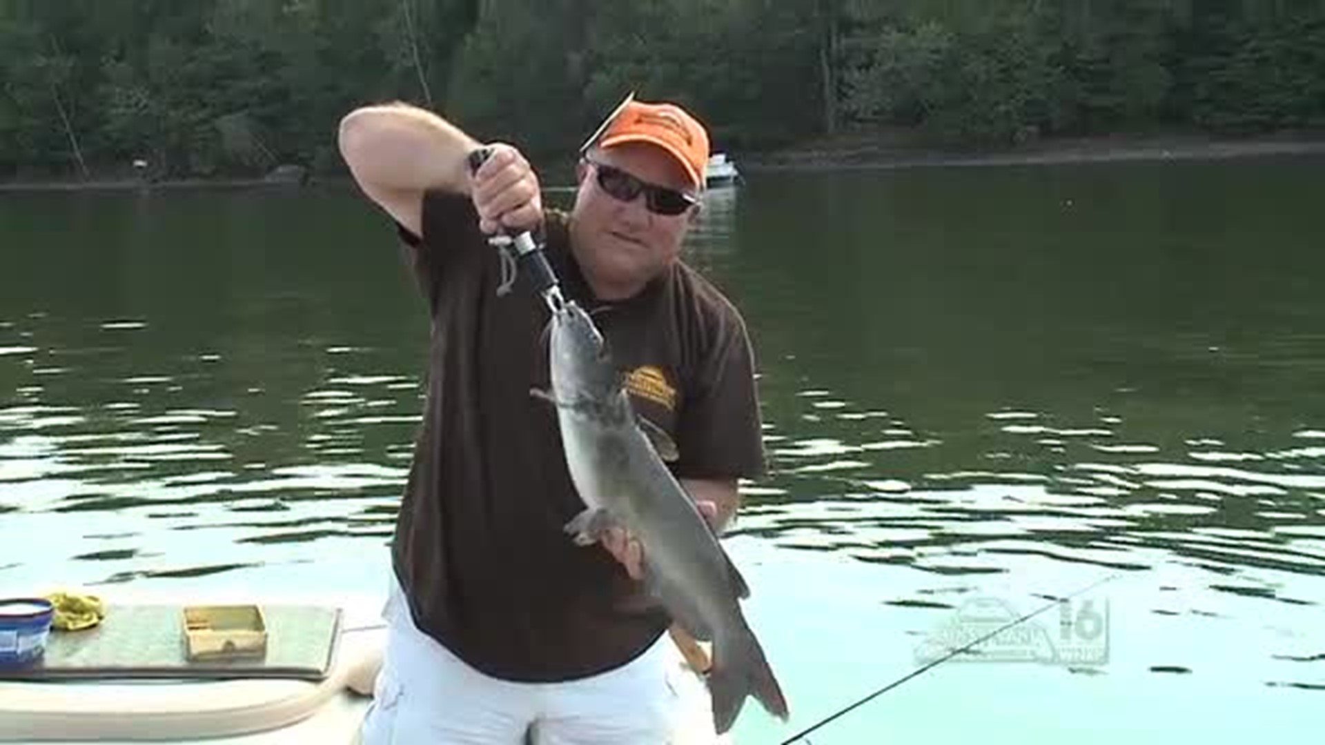 Lake Wallenpaupack Catfishing