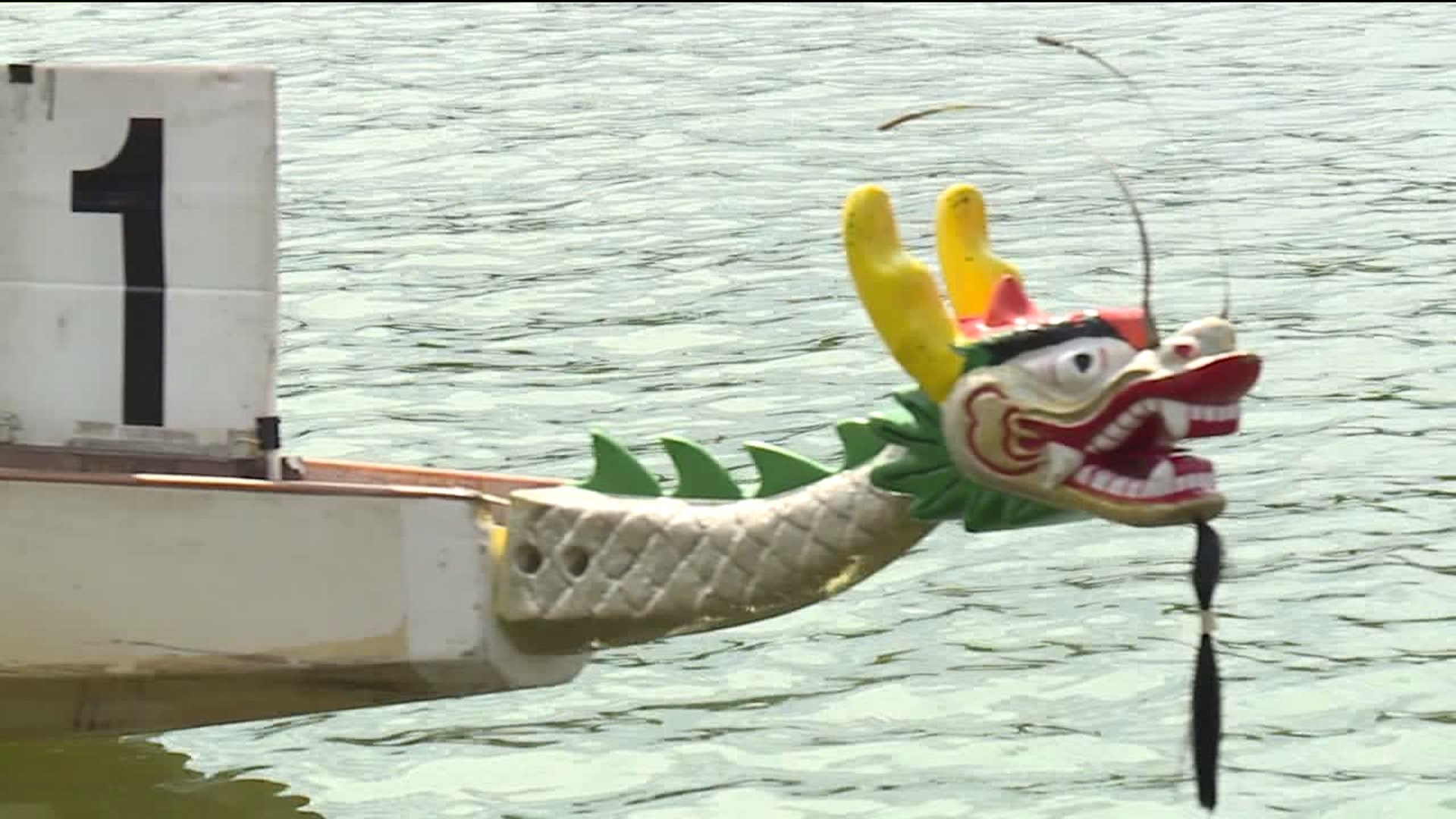 Dragon Boat Races Wrap Up Riverfest 2018 in Wilkes-Barre