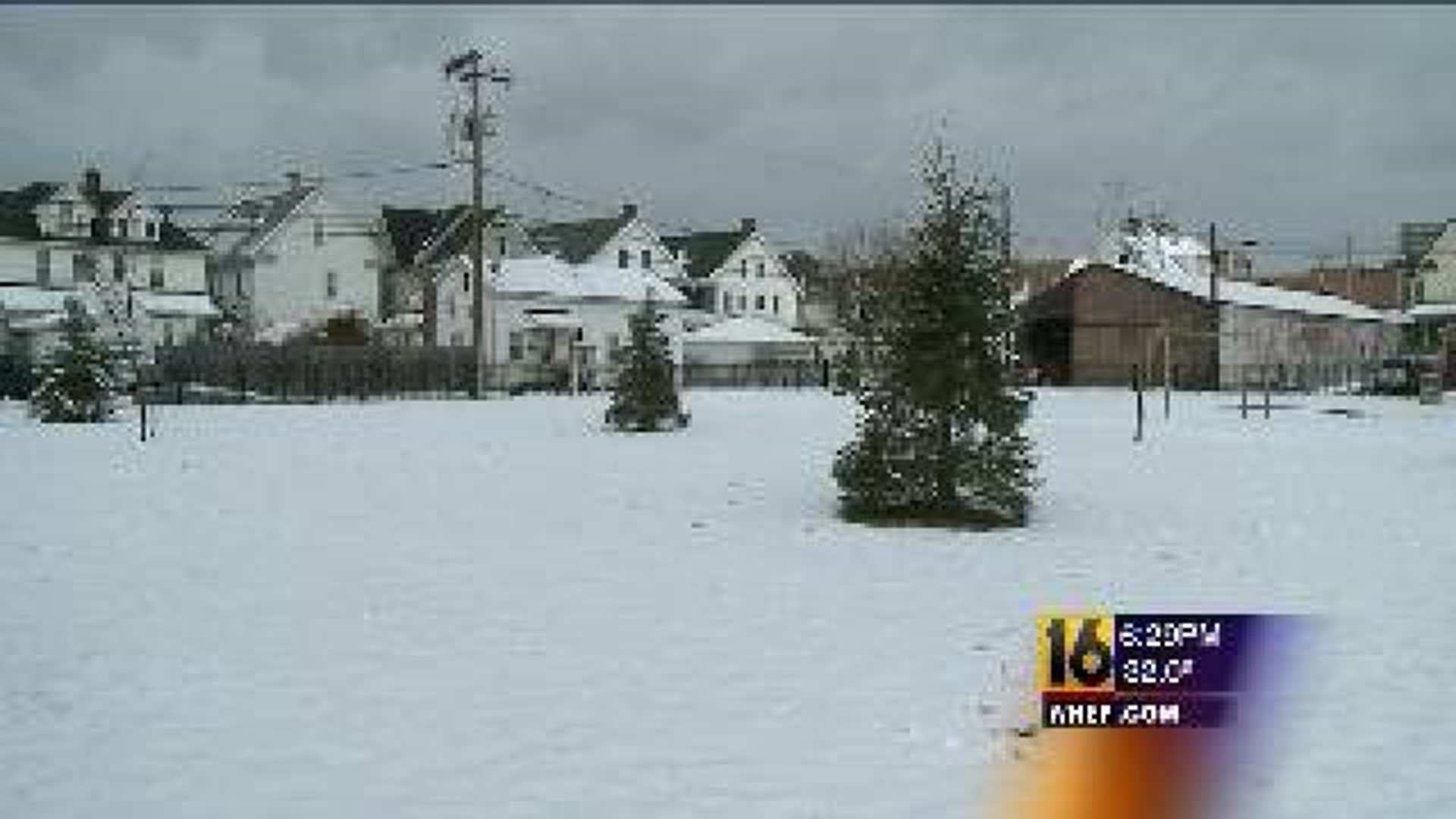 Power To Save: Scranton Goes Green With Trees
