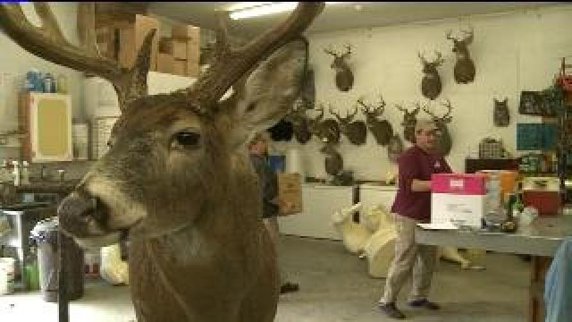 One Less Deer Processing Option for Hunters