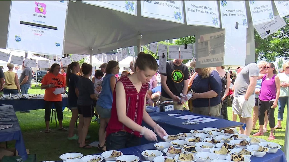 Successful Year for Montrose Blueberry Festival