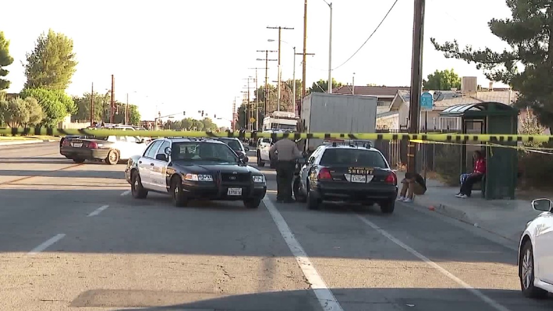 Deputies Shoot, Kill California Teen While Trying to Stop Dog Attack ...