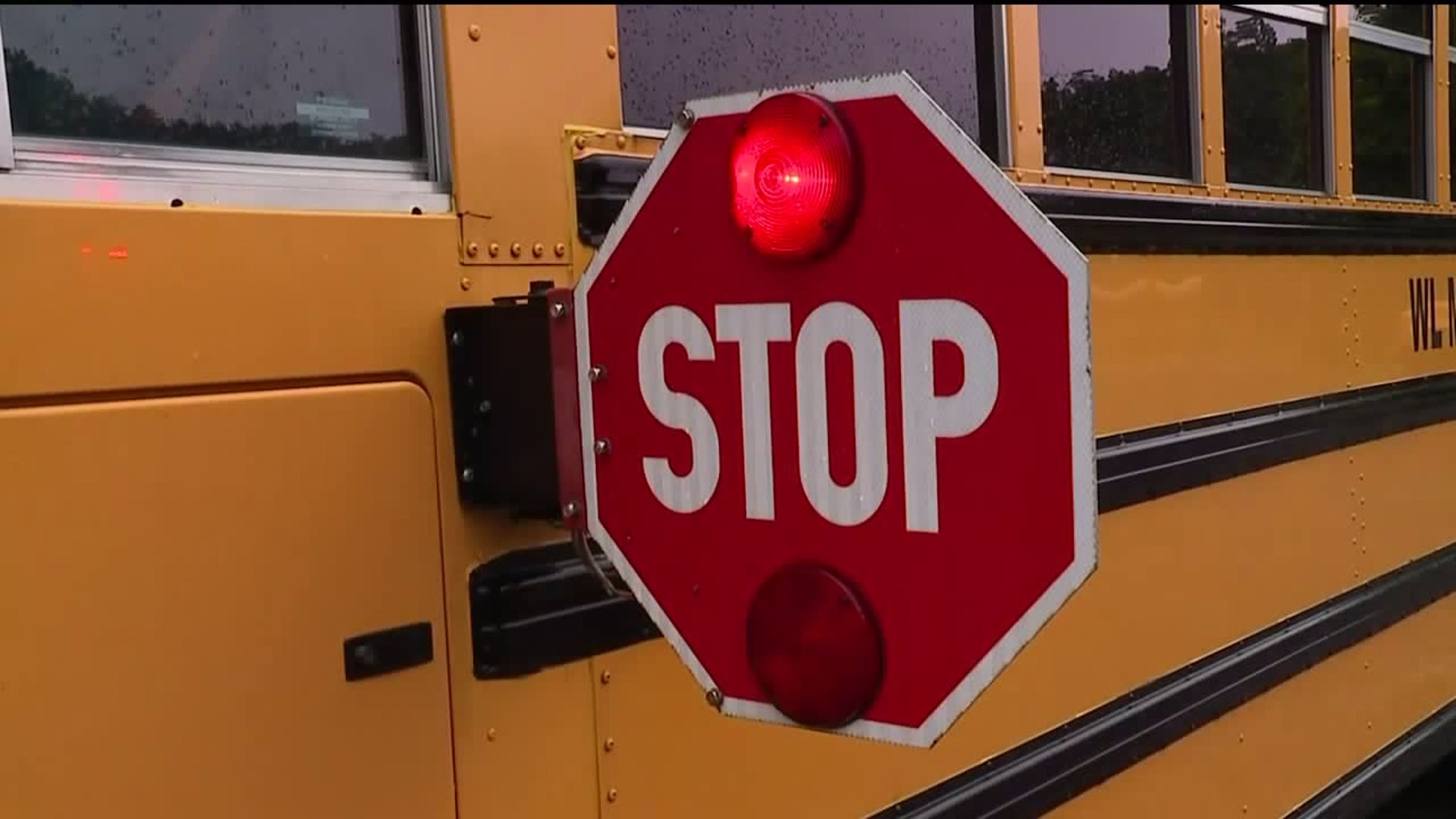 Stop for the School Bus
