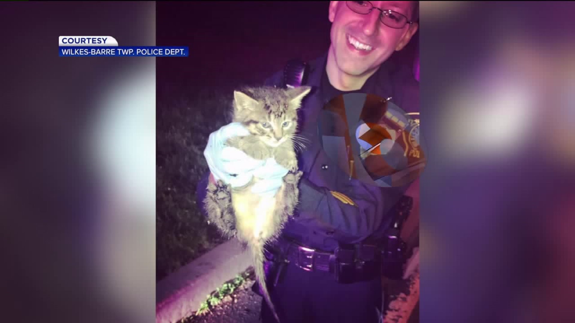 Cat-astrophe Averted: Wilkes-Barre Township Police Save Trapped Kitten