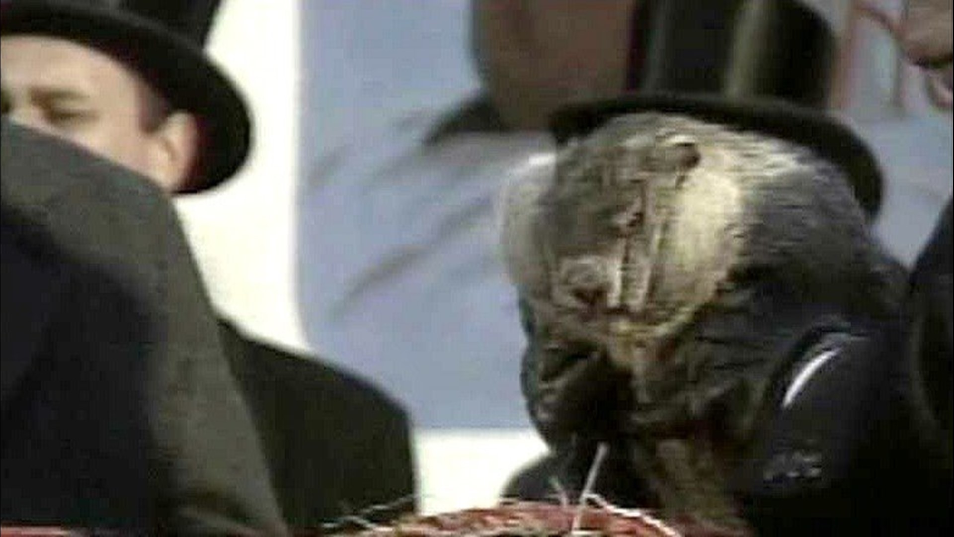 Video Vault: In Search of the Groundhog | wnep.com