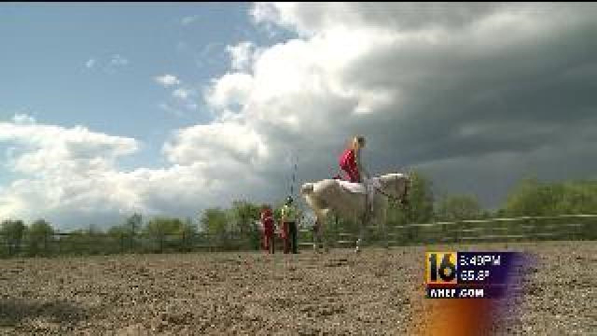 Horse Vaulting Club for Children