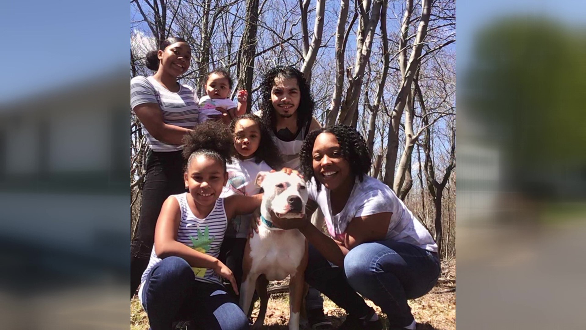 A family was forced to give their dog up for adoption after a near-fatal crash but they were able to reunite.