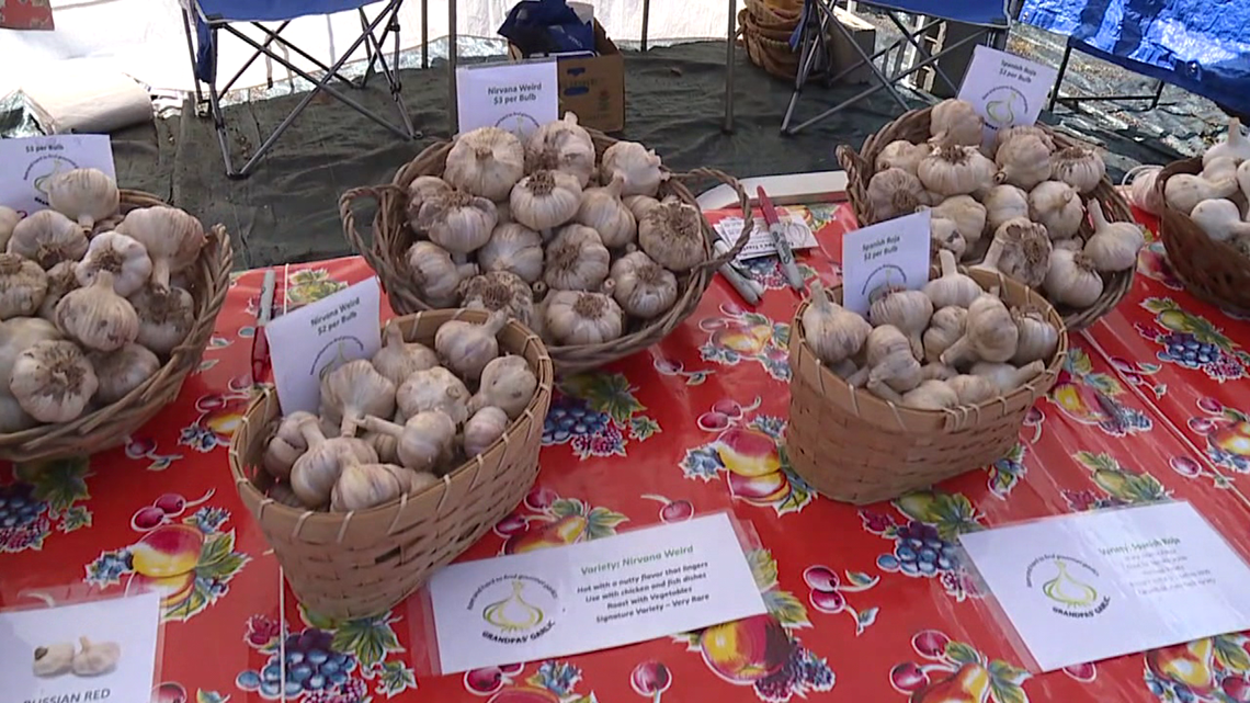 Garlic Fest: Torching mouths in Drums - Vimarsana News