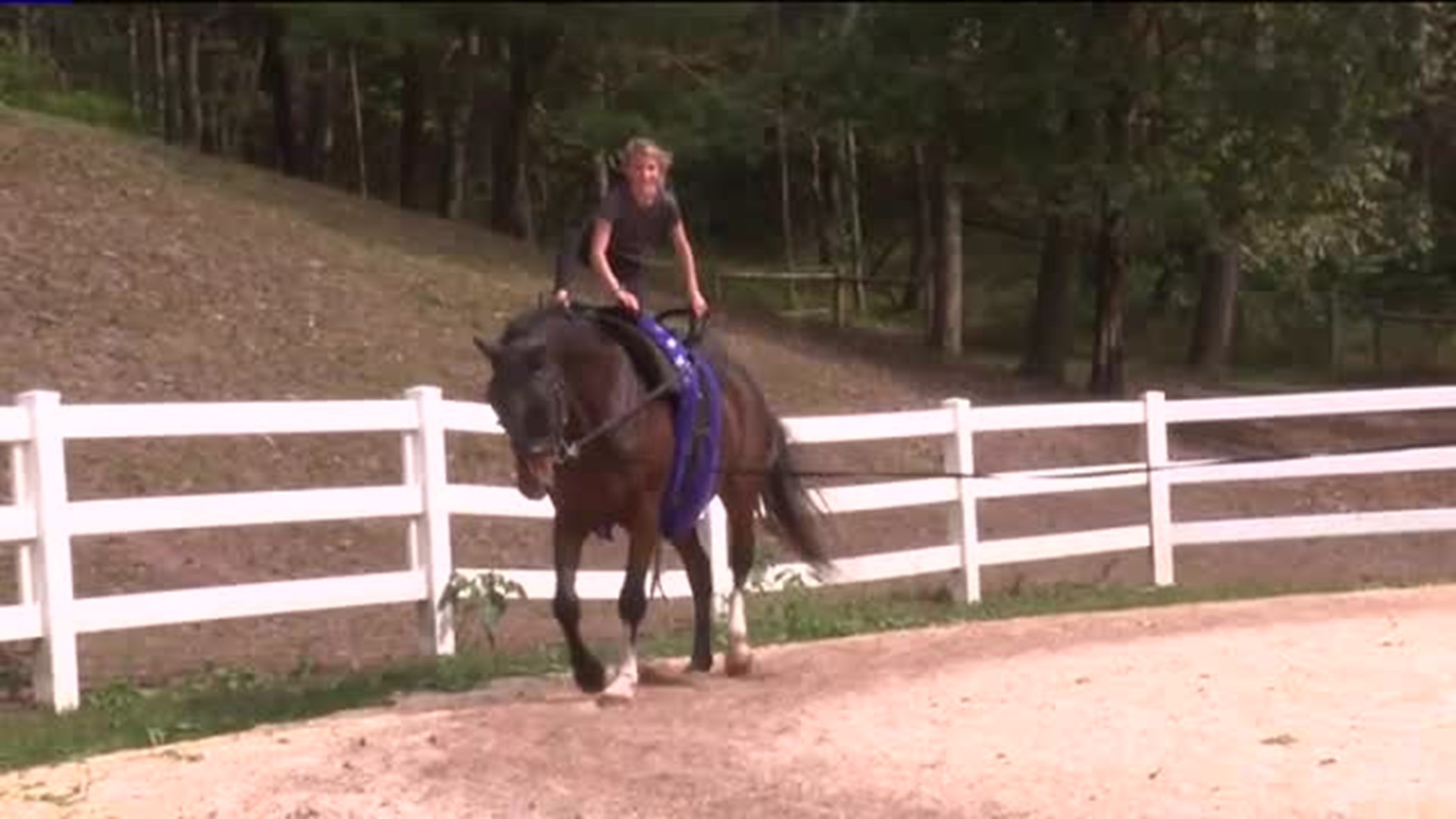 11 year old Training for U.S. Equestrian Vaulting Team