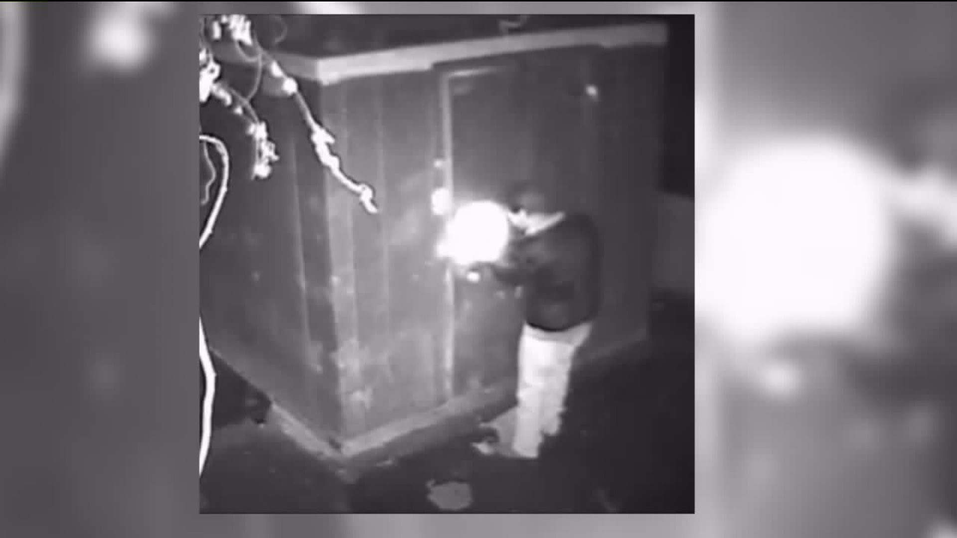 Burglars Caught on Camera Stealing Food from Italian Restaurant in Scranton