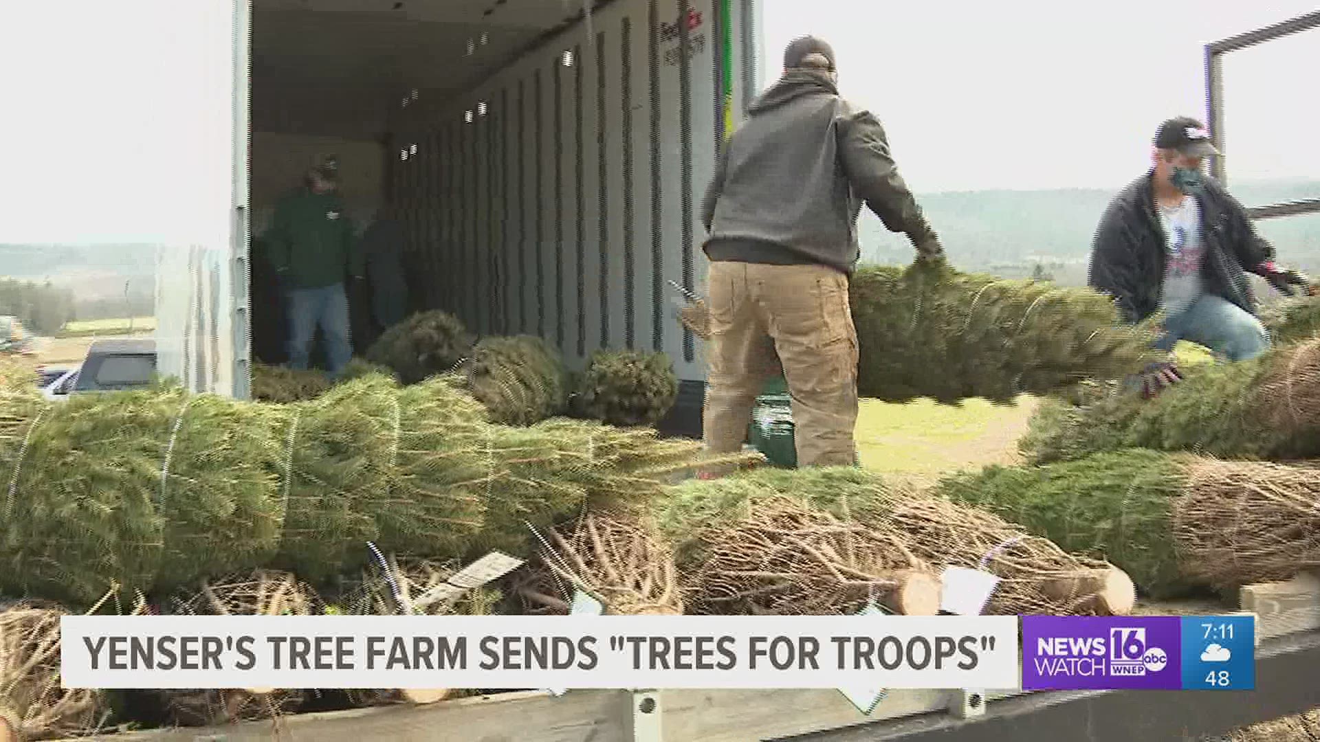 Hundreds of military families across the country will have their own Christmas tree to decorate this holiday season, thanks to a Carbon County farm.