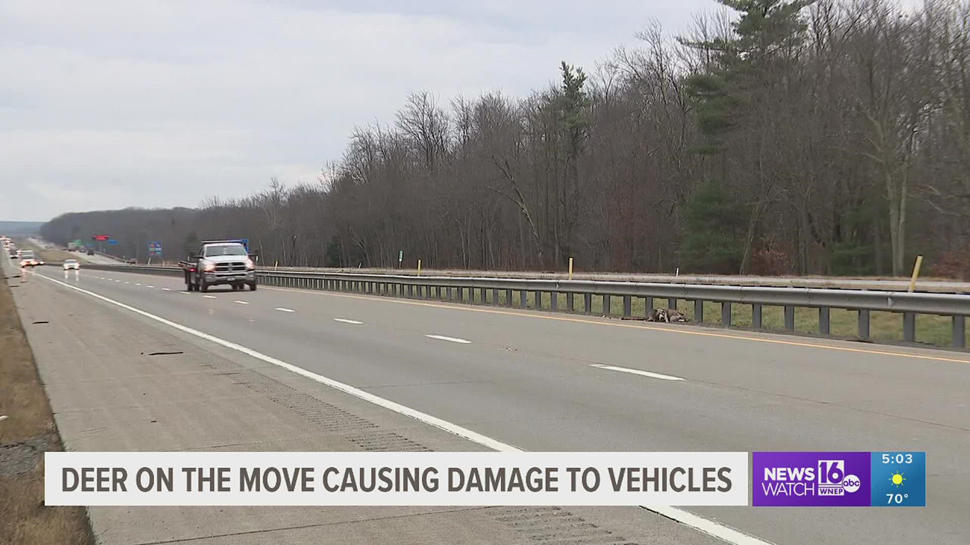 Newswatch 16's Amanda Eustice shows us damage done to vehicles in the Poconos.