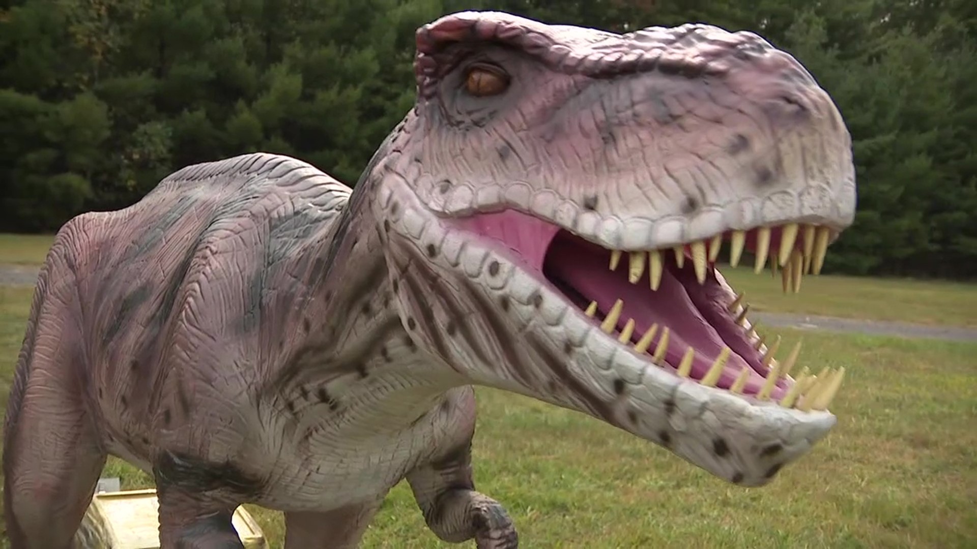 Dinosaur exhibit will be at the Schuylkill County Fairgrounds this weekend