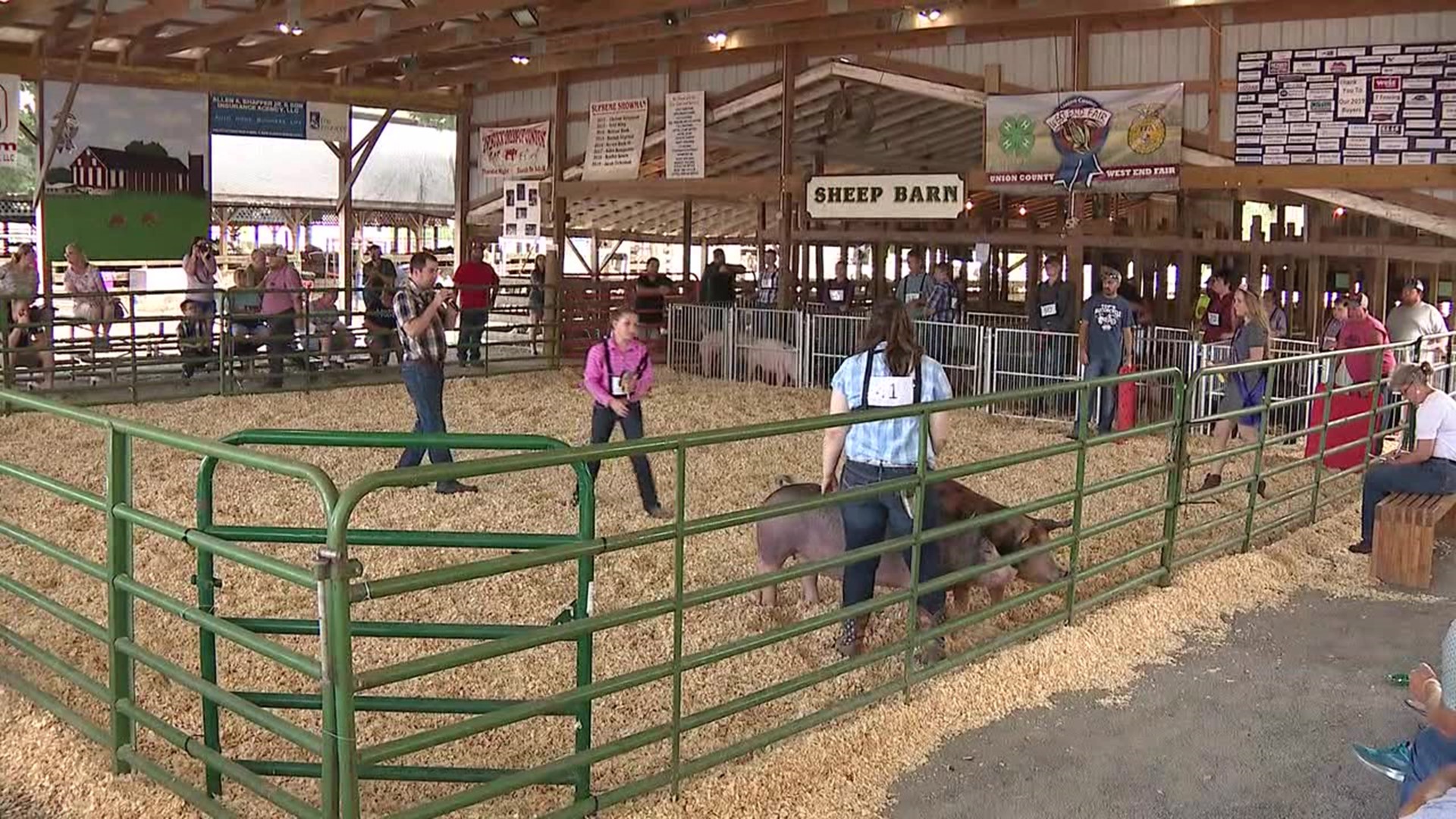Union County West End Fair in full swing