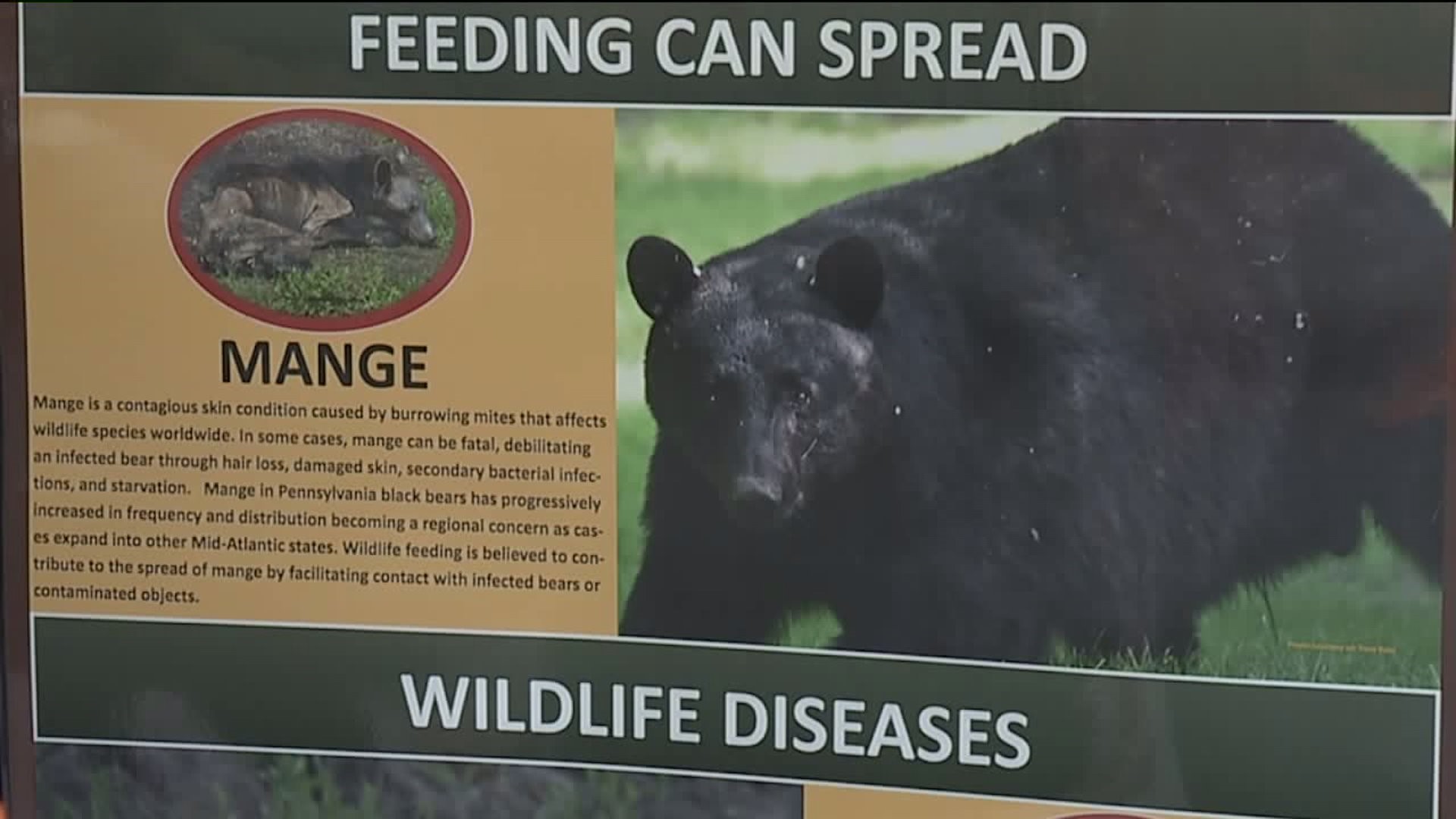 Game Commission: Prevent the Spread of Disease, Don't Feed Bears or Deer