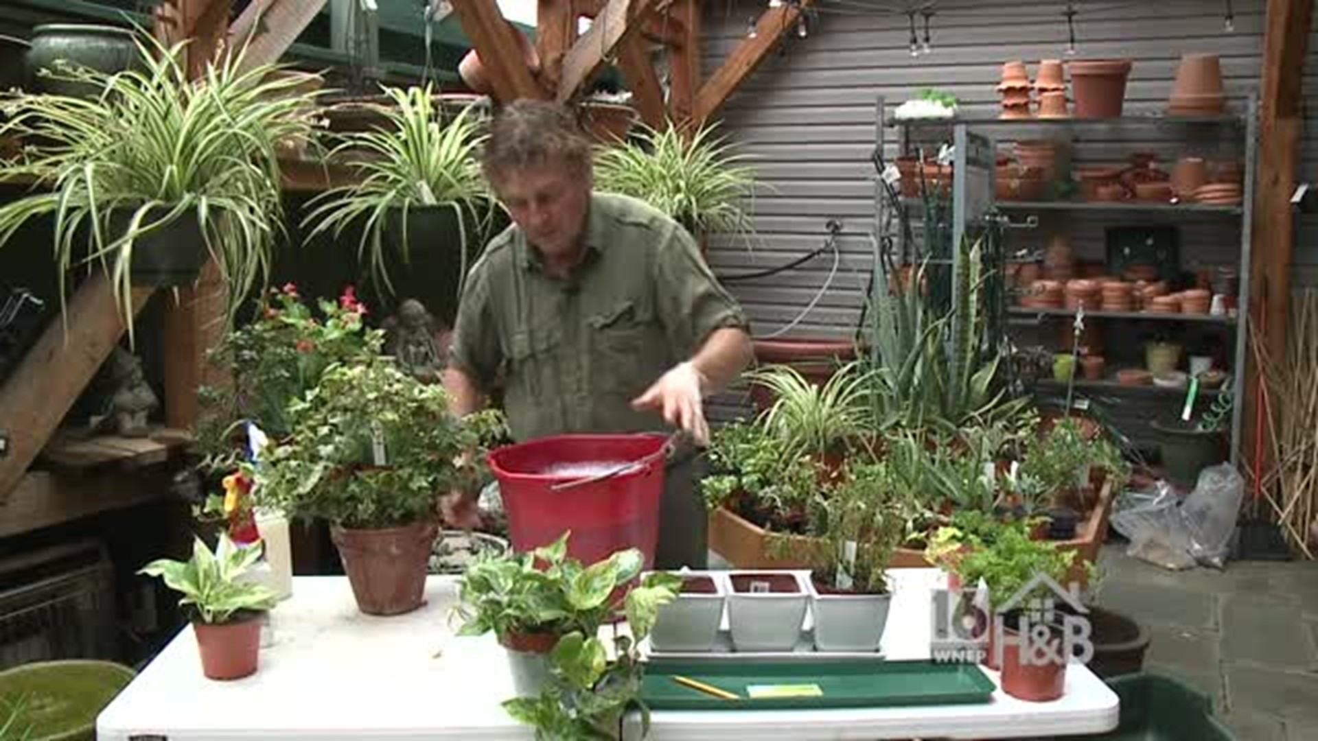 Paul's Bug Free Plant Tips