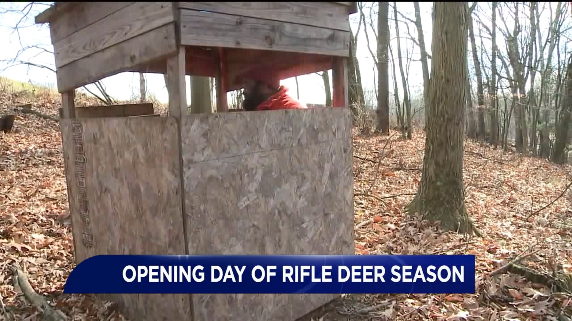 Opening Day for Rifle Deer Season
